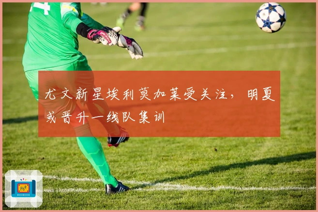 尤文新星埃利莫加莱受关注，明夏或晋升一线队集训