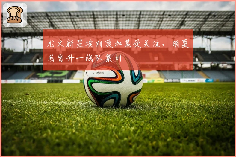 尤文新星埃利莫加莱受关注，明夏或晋升一线队集训