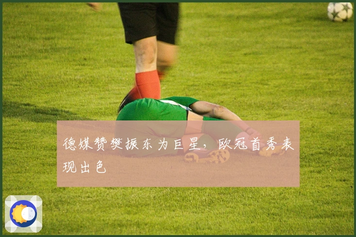 德媒赞樊振东为巨星，欧冠首秀表现出色